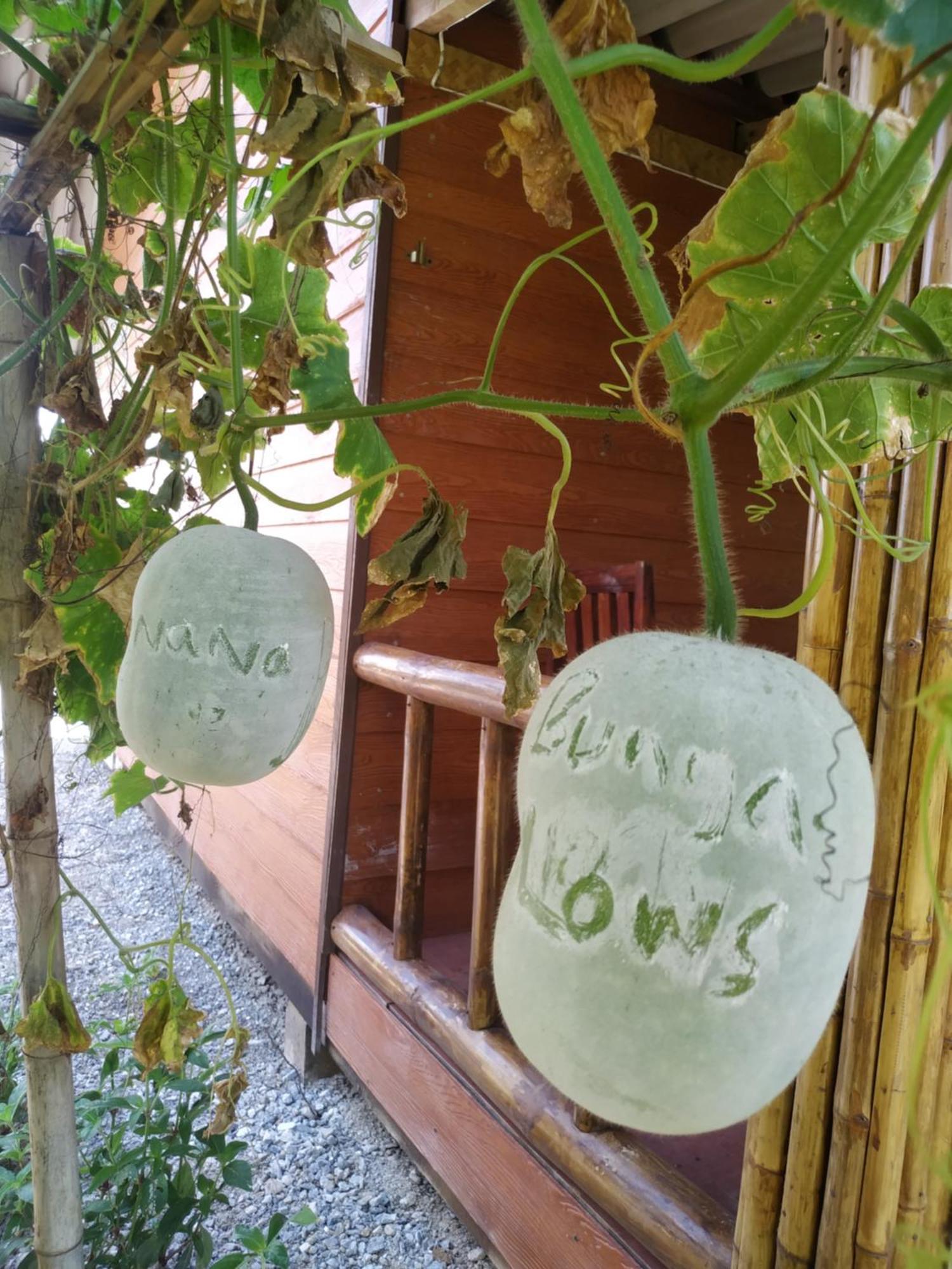 Nana Bungalows Ban Tan Zimmer foto